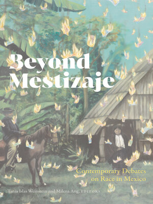 Beyond Mestizaje - ebook